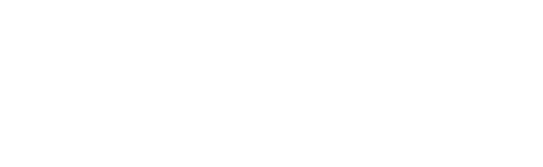 Vasostrict logo